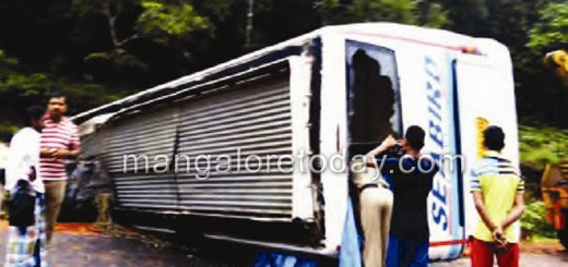   Bengaluru-Mangaluru pvt bus overturns
